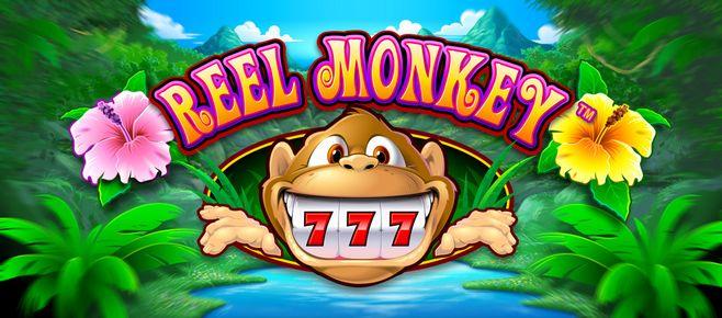 ssbet77 slot