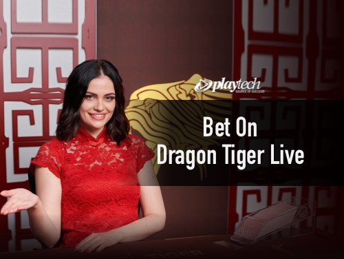 casinyeam online casino login